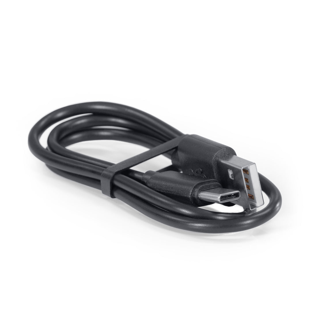 Bag Boy Volt golf cart remote control charger